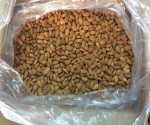 Chilean Shelled Almonds