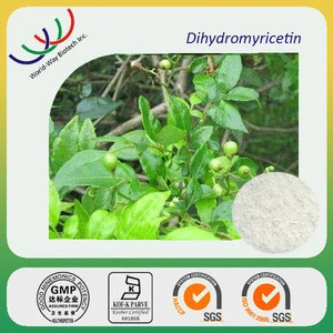 China factory hot sale Anti-Infective Dmy vine tea extract Ampelopsis grossedentata ,anti-temulence 98% Dihydromyricetin