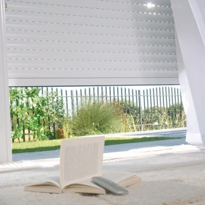 Colorful optional Aluminum Auto or Manual Roller shutter window