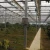 Import commercial glass greenhouseglass greenhouse from China