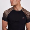 Cotton wholesale t shirts fitness apparel