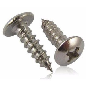 Cross Recessed Pan Head Self Tapping Screw with  Stainless Steel