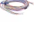 Import Custom 12 pin connector  Wire Harness assembly and Electrical cable from China