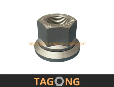 Dacromet M22 Class10 Mobile Washer Flange Nuts Wheel Nuts DIN74361h