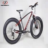 DengFu FM190 fat Sand bike frameset carbon 26er fat bicycle frames