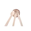Disposable ice cream spoon and fork plastic eco friendly