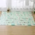 Import Double Sided Toy Large XPE Cartoon Pattern Foldable Floor Pad Carpet from China