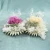 Import Dry Real Natural Plant Home Wedding Bridal Decor Flower Bunches Arrangements Preserved Dried Flowers Bouquet from China