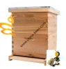 Durable high quality langstroth beehive in other animal husbandry equipment for sale