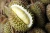Import Durian from Thailand