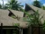 Import Eco-friendly Extrusion non fireproof plastic synthetic palm thatch roof palmex thatch from China