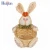 Import Eco-friendly lovely party supplies easter basket garden ornaments rabbit from China