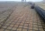 Import Embossed Geo Grid PP Biaxial geogrids high tensile for driveway reinforcement from China