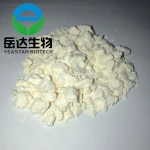 factory best quality  Supply Egg Yolk Lecithin Powder Price Egg Yolk Powder