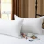 Import Factory direct duck down and feather pillows cushion from China