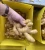 Import Factory direct selling fresh ginger with cheap price from China