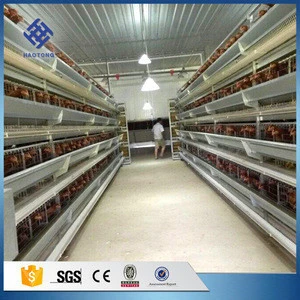 Factory price supply Design layer chicken / broiler chicken/chick cages for poultry farm