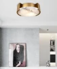 Factory sale various widely used metal body led light for home ceiling lamp