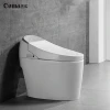 Factory Supply Attractive Tanksless Intelligent Automatic Wash Toilet