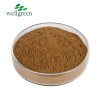 Factory Supply Natural Plant Herbal Inulin Healthcare Supplements Use Root Powder Chicory Extract