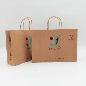 Factory Supply Recyclable Fashion Handle Shopping Paper Bag