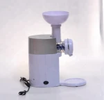 Factory Wholesale 160W Frozen Fruit Ice Cream Soft Maker Machine