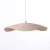 Import Factory Wholesale Indoor Hotel Modern Light Fixtures Pendant Lamp from China