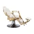 Import Fast Delivery Hair Salon Chairs And Furniture,Beauty Salon Gold Barber Chair With Foot Rest from China
