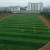 Import Football Artificial Lawn Football Grass Sports Plastic Soccer Field Turf for Sale from China