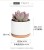 Import Free sample Antique Ceramic Succulents flower pots for Home Decor White Mini Flower Simple Design Ceramic Pot Planter from China