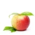 Import Fresh Apples/Royal Gala/Red Delicious/Granny smith apple! from South Africa