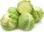 Import Fresh cabbage hot sale with best quality from Austria
