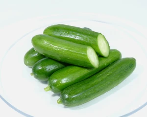 Fresh green Cucumber