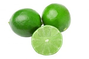Fresh Green Lime Seedless and , Persian Lime Supplier/Wholesale