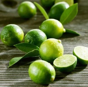 Fresh Green Lime/Fresh Seedless Lime /FRESH GREEN SEEDLESS LIME