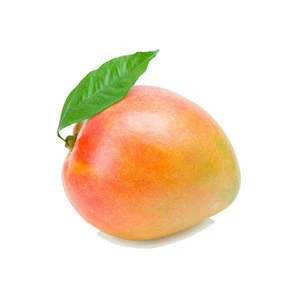 Fresh Mango From Peru Sweet and High Quality
