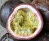 FRESH PASSION FRUIT - BEST PRICE AND QUALITY