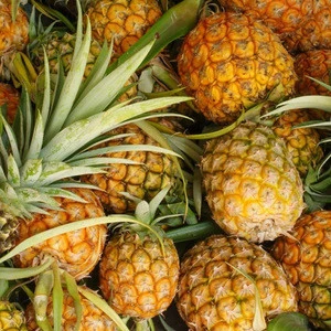 Fresh Pineapple (sweet and golden)