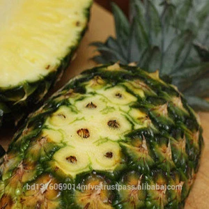 Fresh Pineapples for sale now