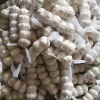 fresh pure white garlic & normal white garlic for exporting