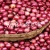 Import Fresh red indian onion from India