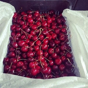 Fresh Sweet  Cherries for Importers..