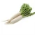 Import Fresh Vegetable Turkey Radish / Ternip / Daikon with Lowest Price from United Kingdom