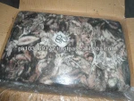frozen cuttle fish Sepia Pharaomis, Frozen Cuttlefish