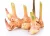 Import FROZEN FRESH GALANGAL WITH BEST PRICE FOR FOOD AND VEGETABLE INDUSTRY FROM VIETNAM from China