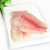 Import frozen tilapia seafood importer from Africa from China