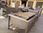 Fruit Vegetable Cleaner Equipment Vegetable Washing Machine with Spray Part