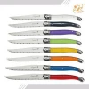 Full Tang Blade 6 or 8 Pcs Colorful abs Handle Laguiole Kitchen Steak Knife Set