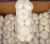 Import garlic price in china  Fresh normal white garlic 4.5/5.0/5.5/6.0/6.5cm from China