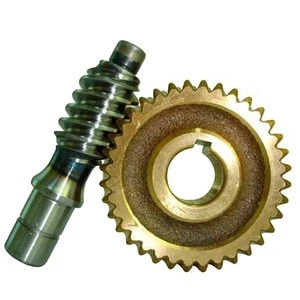 Gearbox OEM High Precision Large Forging Casting Brass Worm Gear
